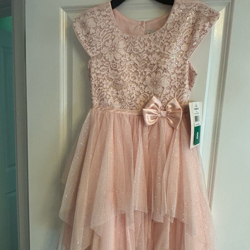 Elegant Pink Lace Kids Dress